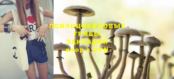 эйфоретик Каменногорск