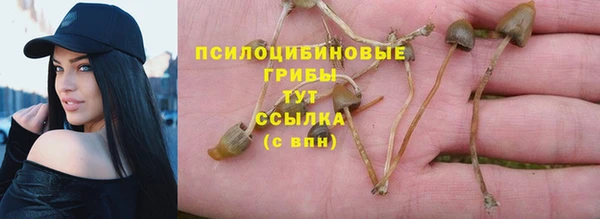 твердый Каменка