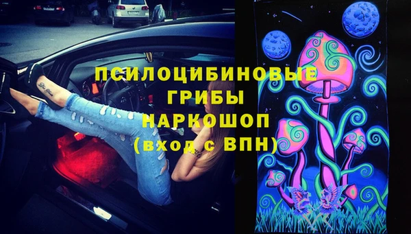 эйфоретик Каменногорск