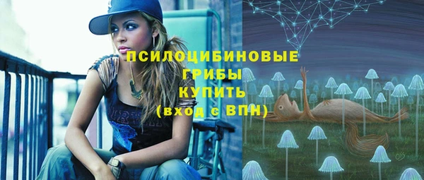 эйфоретик Каменногорск