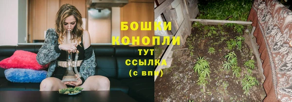 эйфоретик Каменногорск