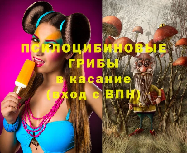 apvp Каменск-Шахтинский